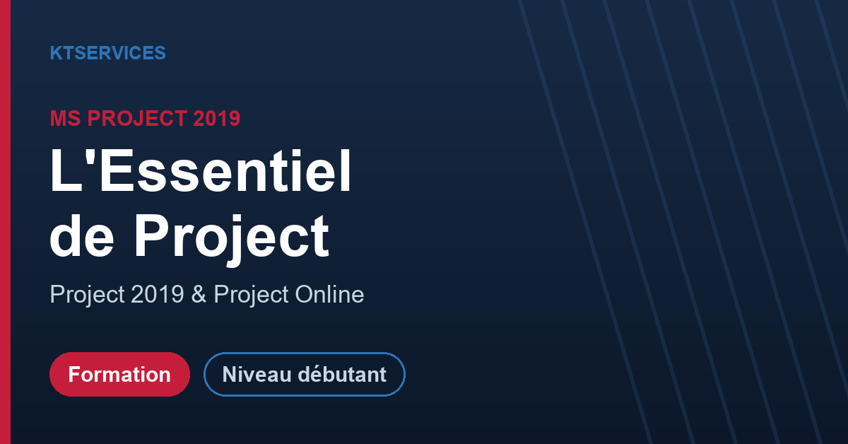 Microsoft Project 2019 – L'Essentiel : Project & Project Online – Image 2